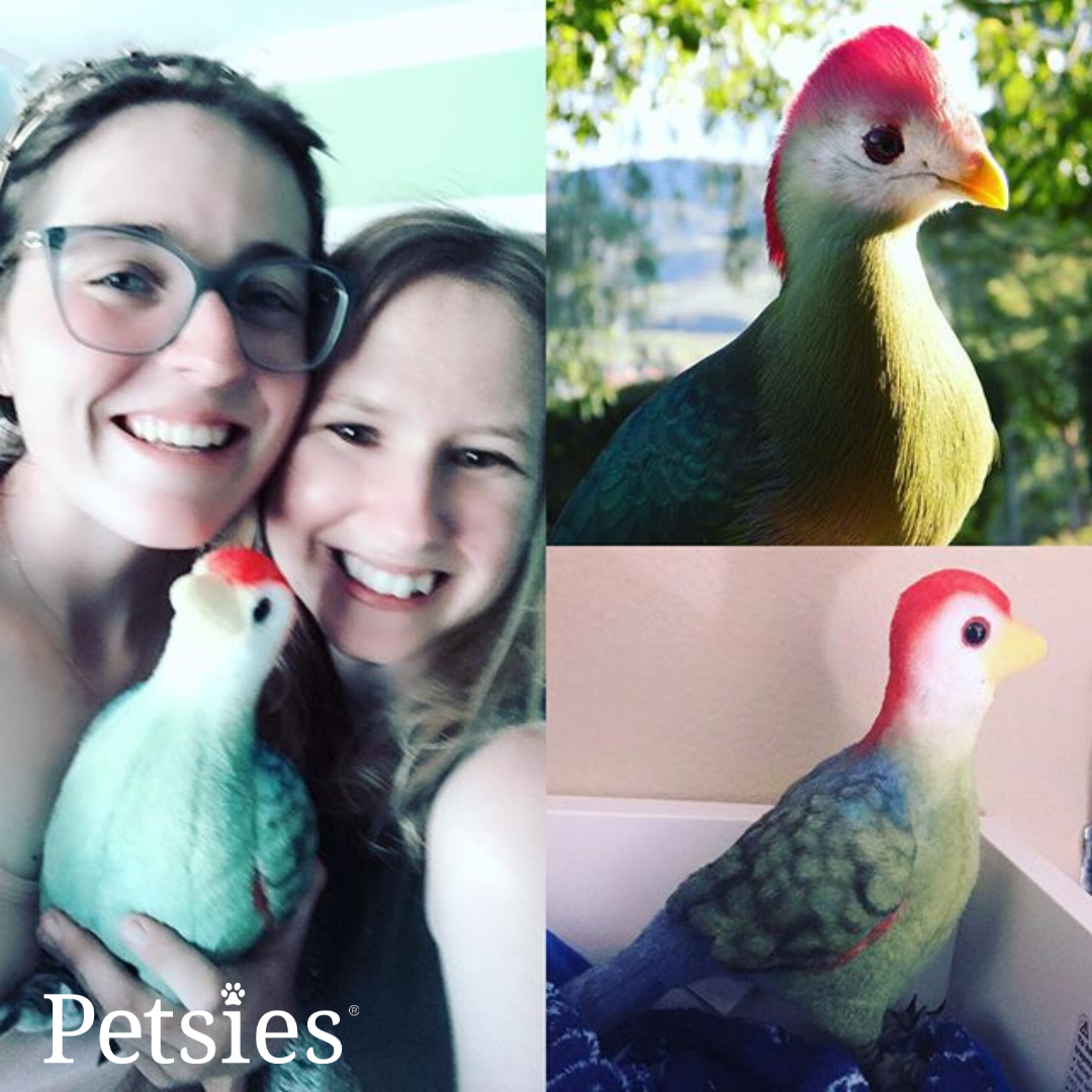 Original Petsies Forevers Stuffed Animal