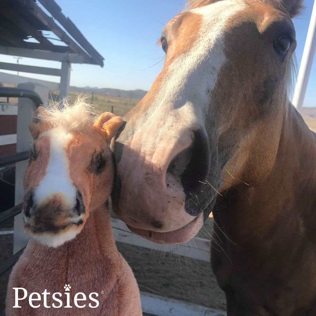 Original Petsies Forevers Stuffed Animal