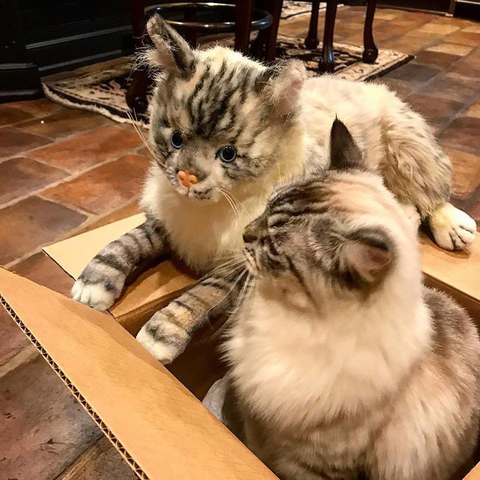 Original Petsies Forevers Stuffed Animal