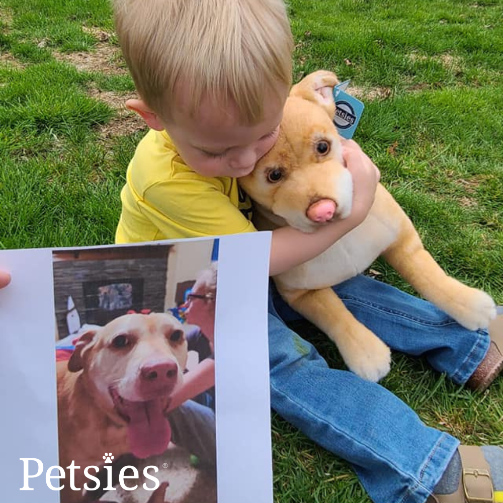 Comfort Petsies Forevers Stuffed Animal
