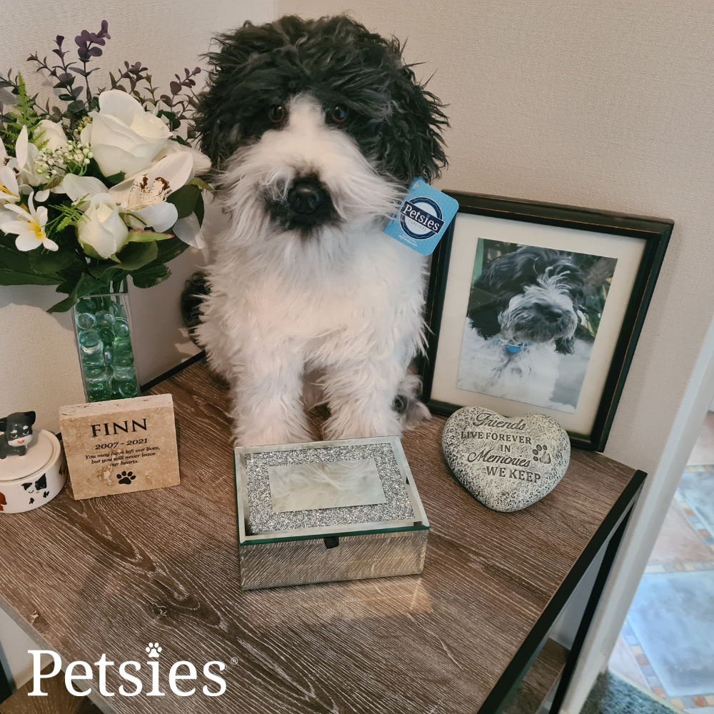 Memorial Petsies Forevers Stuffed Animal