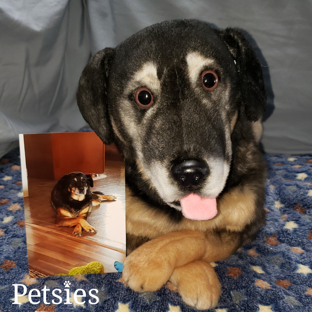 Comfort Petsies Forevers Stuffed Animal