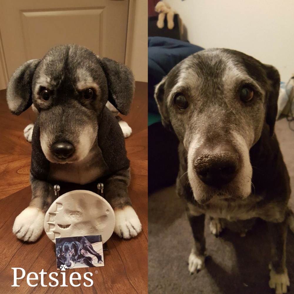 Memorial Petsies Forevers Stuffed Animal