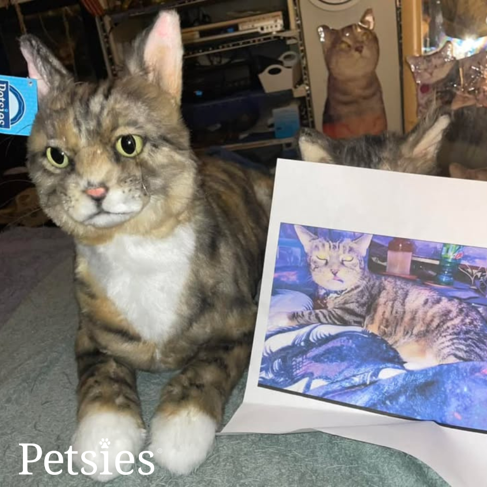 Comfort Petsies Forevers Stuffed Animal
