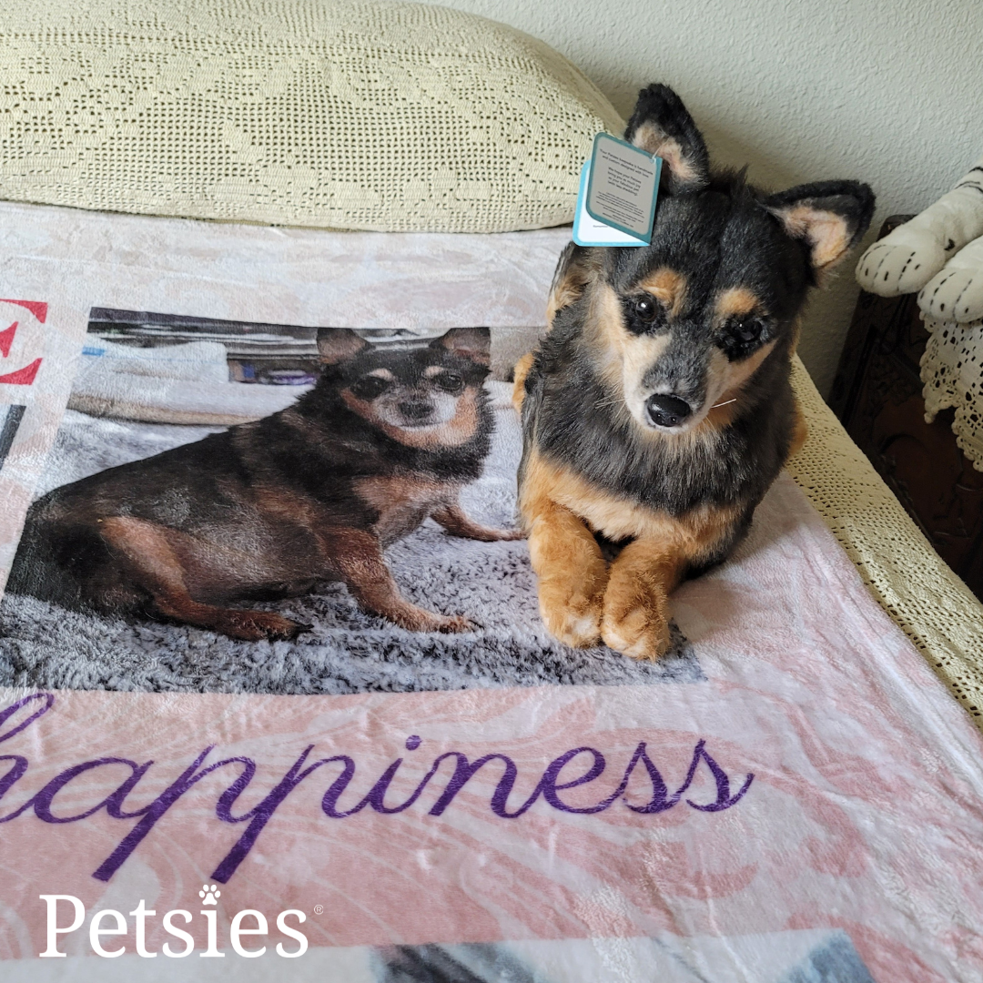 Original Petsies Forevers Stuffed Animal