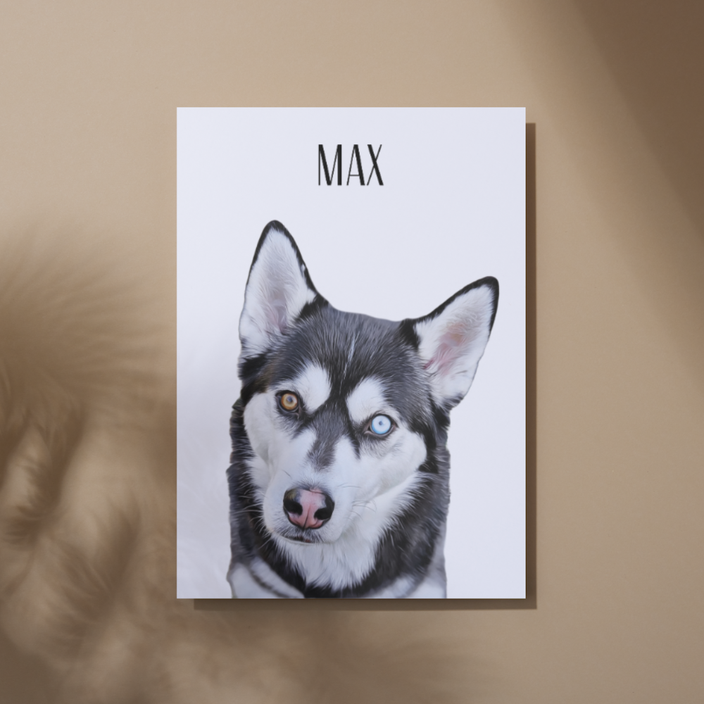 Custom Pet Portraits