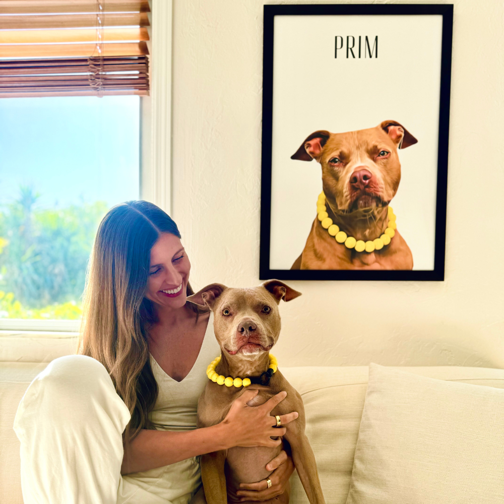 Custom Pet Portraits
