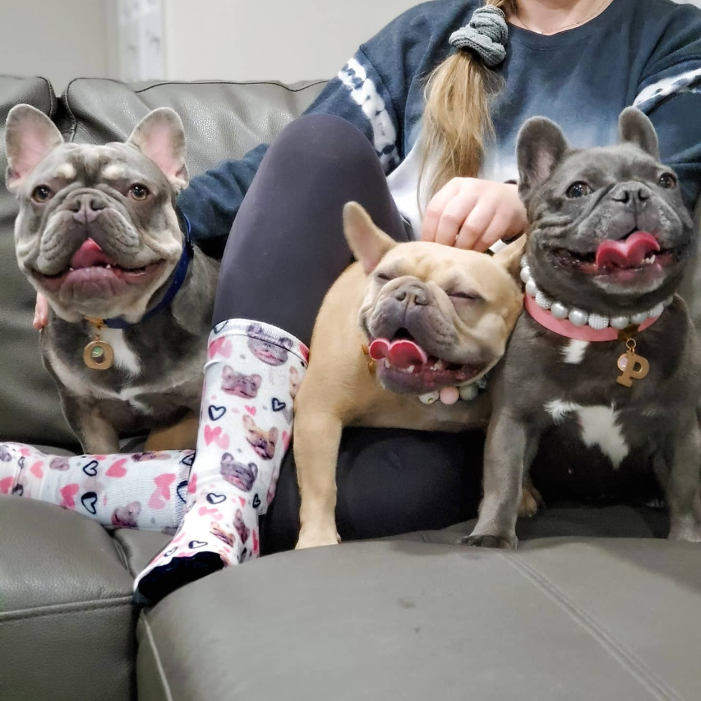 Custom Pet Socks