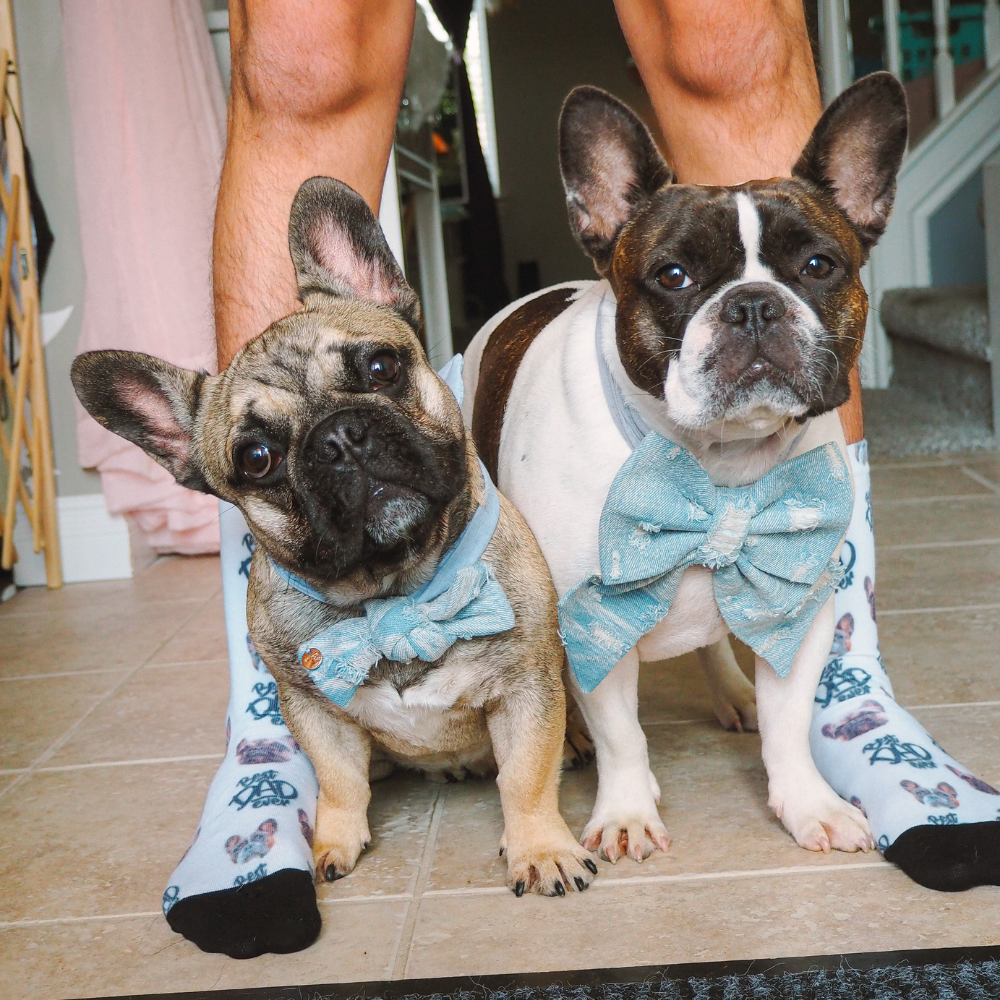 Custom Pet Socks