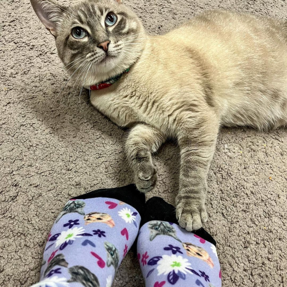 Custom Pet Socks