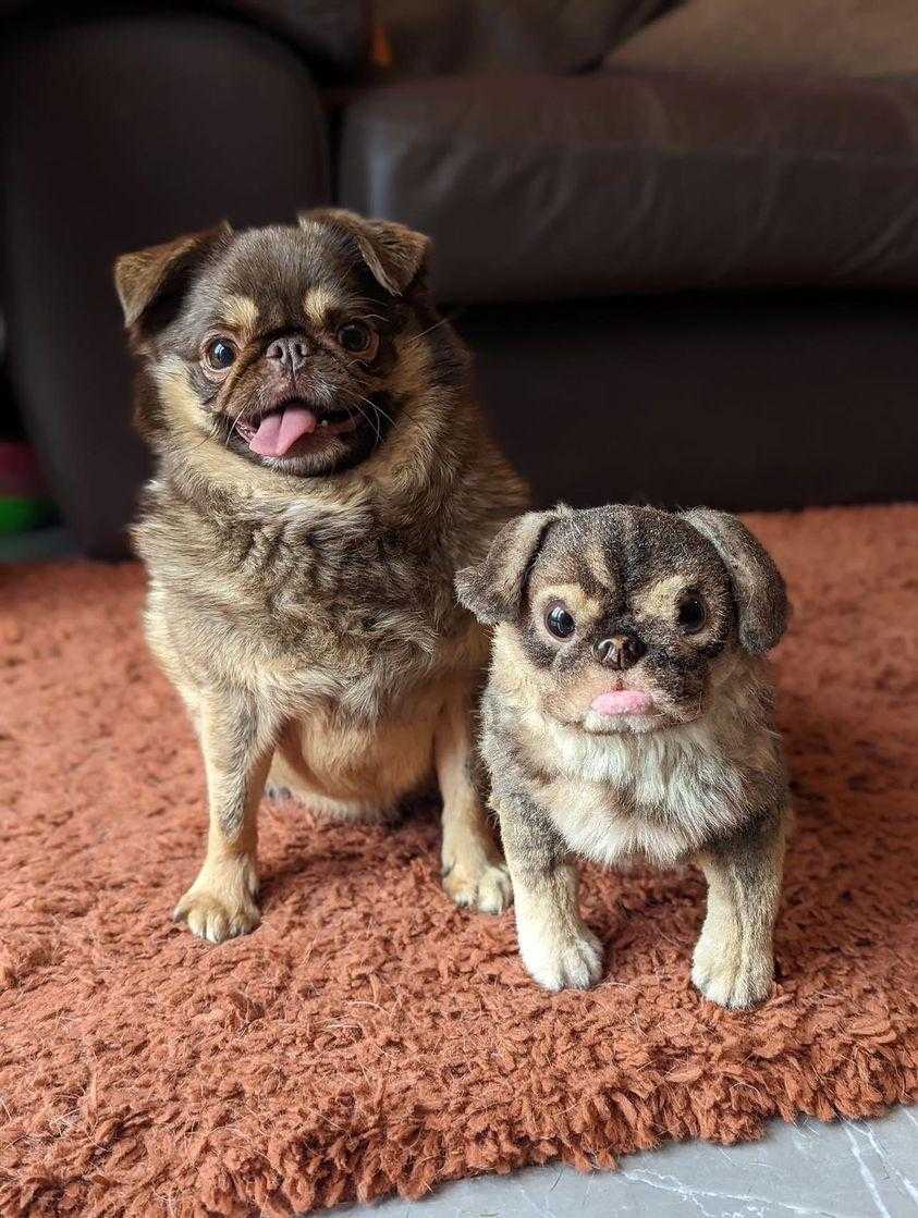 Original Petsies Forevers Stuffed Animal