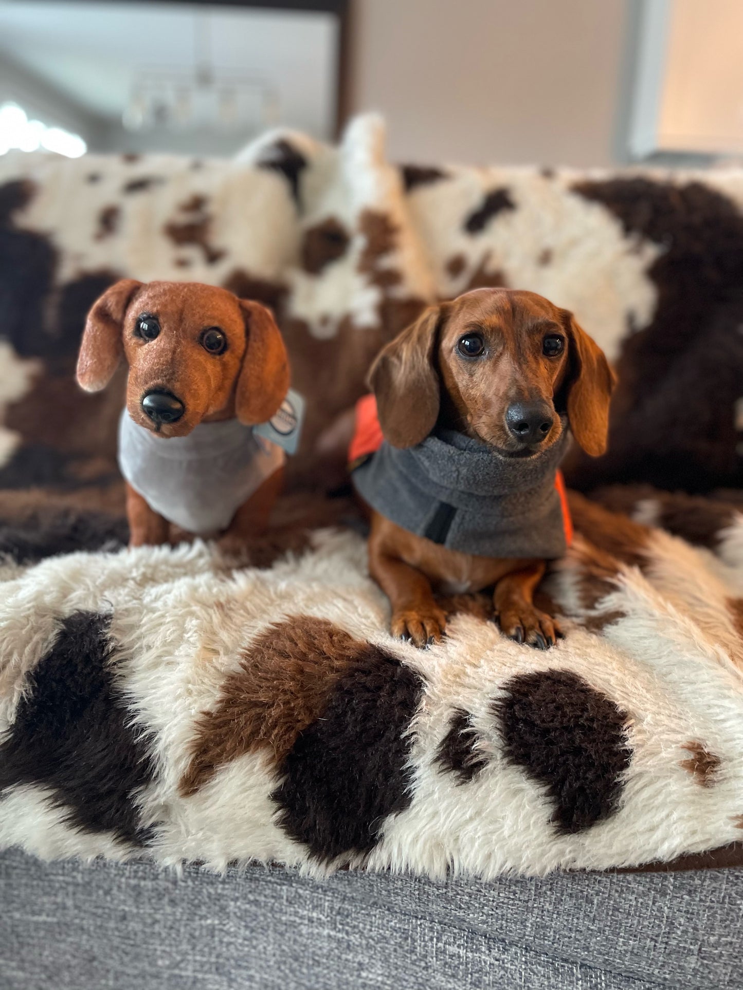 Original Petsies Forevers Stuffed Animal