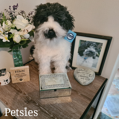 Memorial Petsies Forevers Stuffed Animal