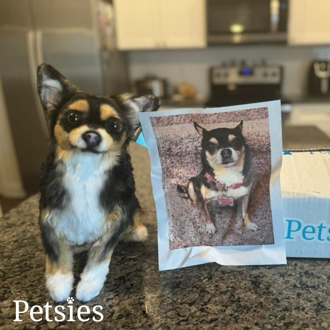 Memorial Petsies Forevers Stuffed Animal