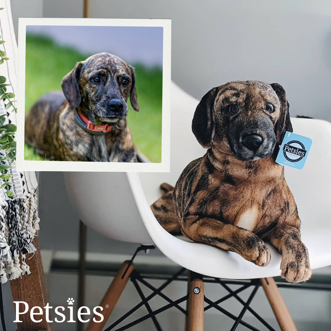 Original Petsies Forevers Stuffed Animal