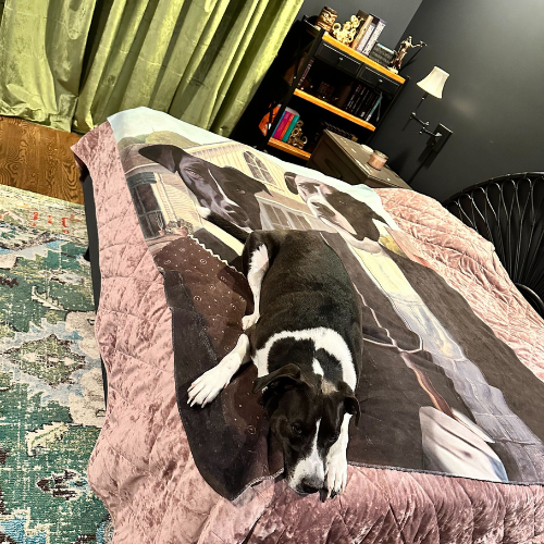 Renaissance Blankets