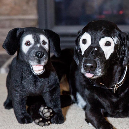 Comfort Petsies Forevers Stuffed Animal