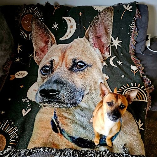 Custom Pet Photo Blankets