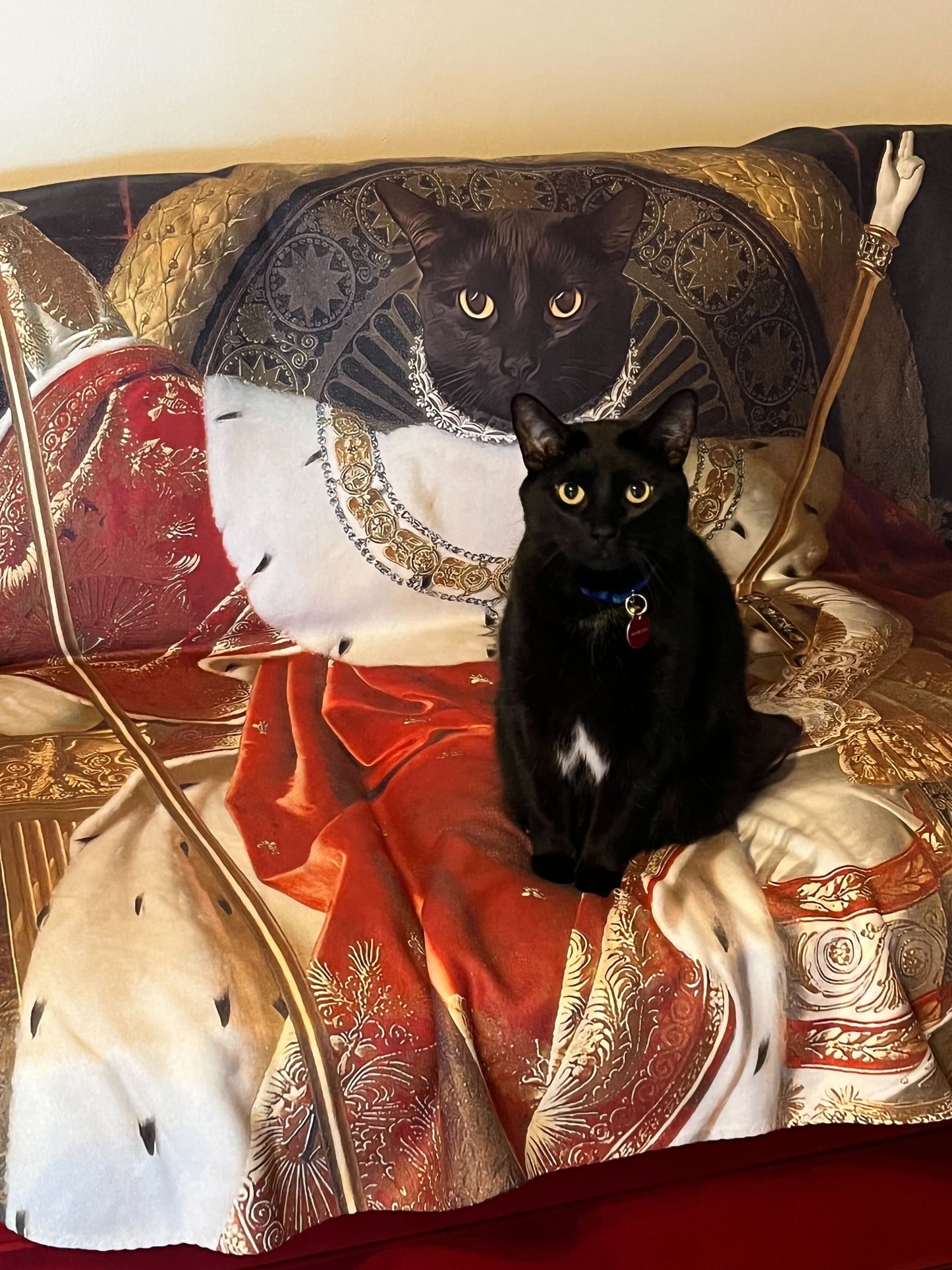 Renaissance Blankets